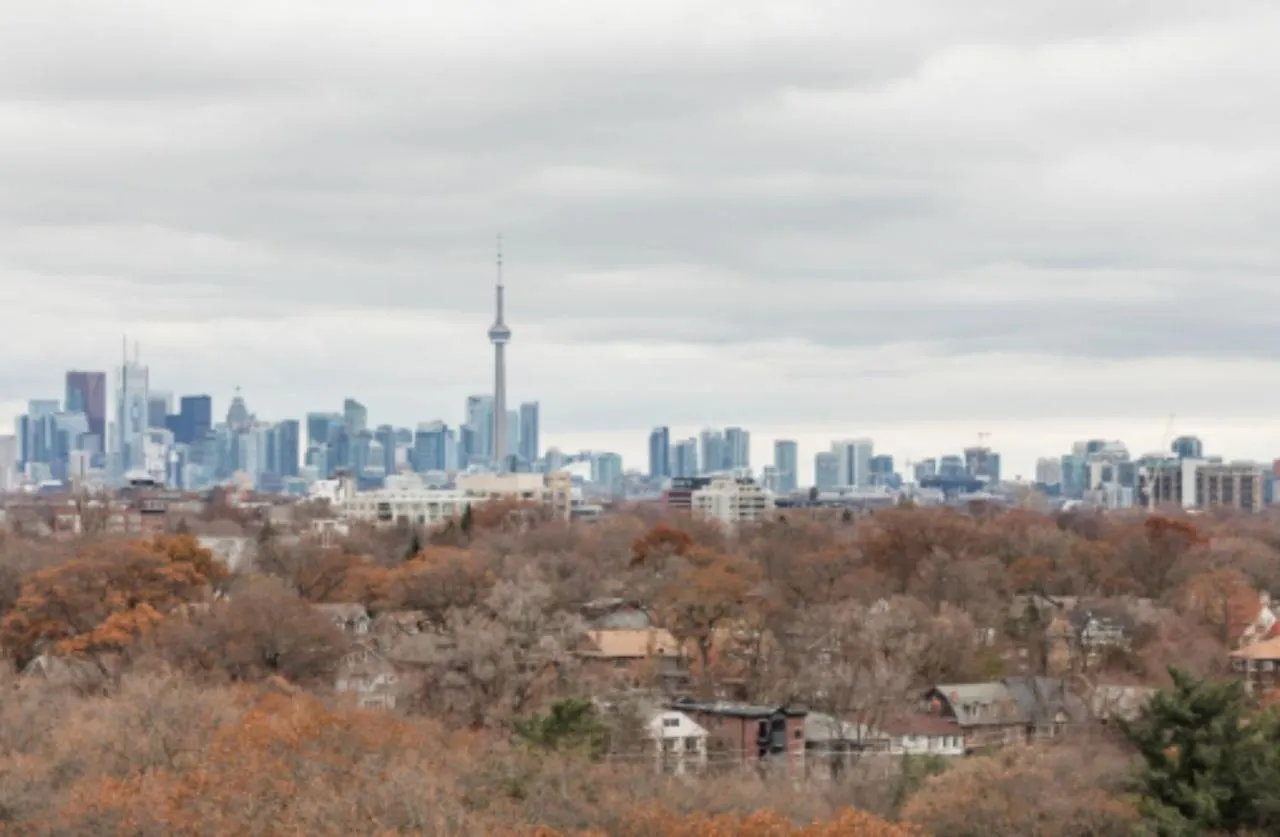 Toronto Sophisticated Studio Apartment